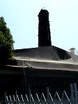 1006203.jpg